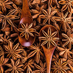 yoga teacher training schools available in varkala